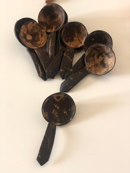 Tiny Coconut Shell Spoons-Set of 3