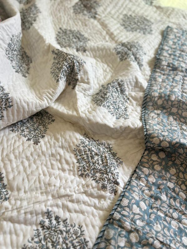 Whatsapp image 2025 02 10 at 12.16.12 pm (1)