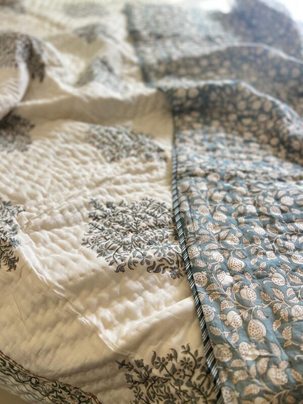 Whatsapp image 2025 02 10 at 12.16.13 pm