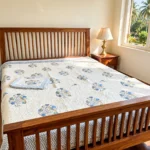 Kerala bedroom sunlit